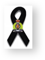 Stacks Image 11331729